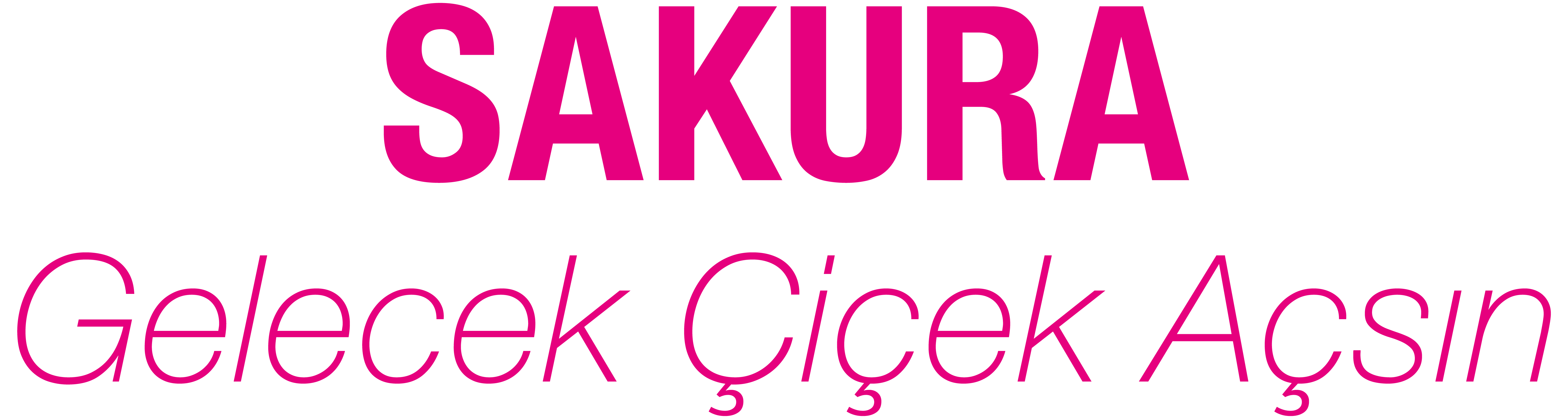 SAKURA
